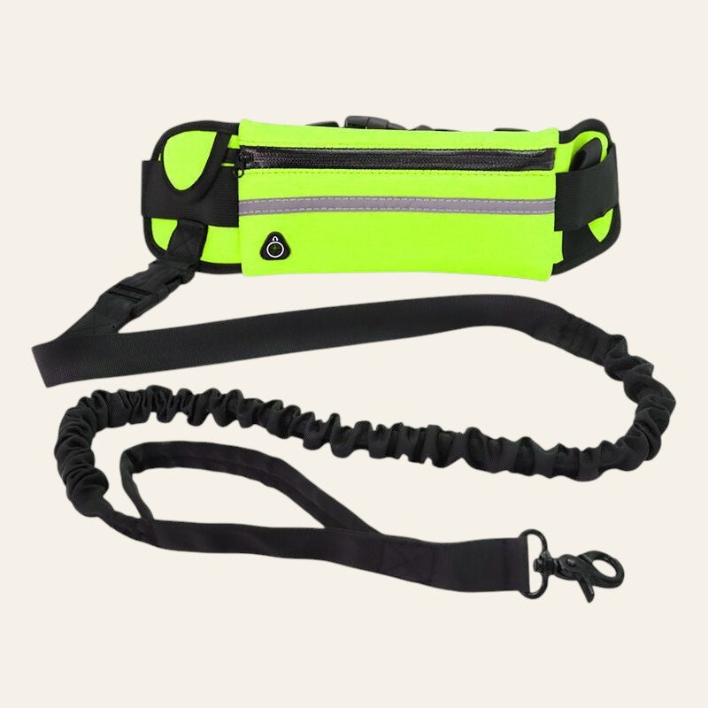 Laisse Mains Libres avec Ceinture de Sport™