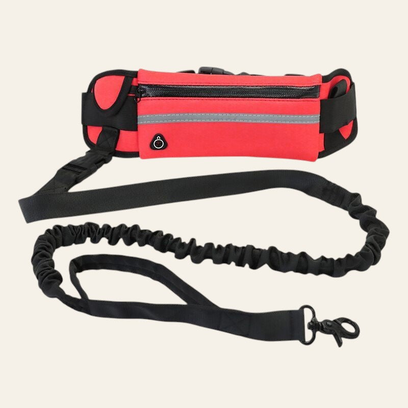 Laisse Mains Libres avec Ceinture de Sport™