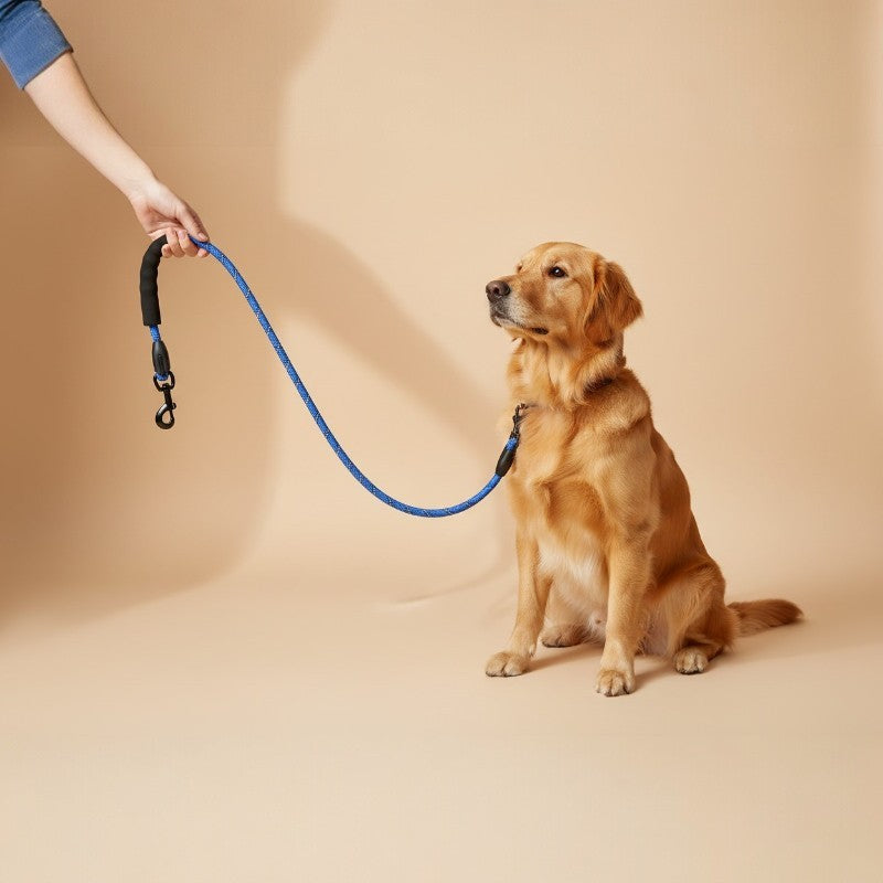 Laisse Réfléchissante Premium pour Chien™